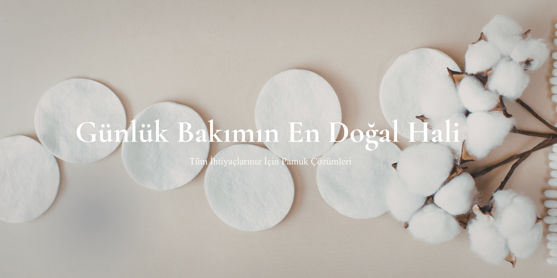 söke gıda banner 2